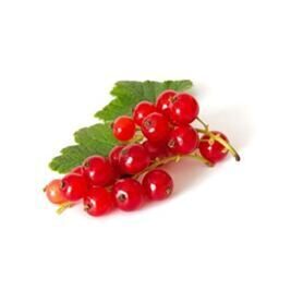 Johannisbeeren