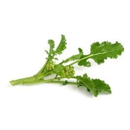 Cima di rapa