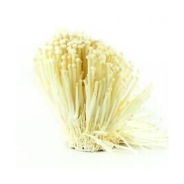 Enoki / Sushi Pilz