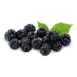 Brombeeren