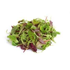 Mesclun Salat