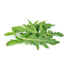 Rucola offen / Bund