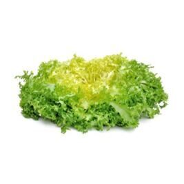 Frisée