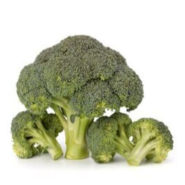 Broccoli