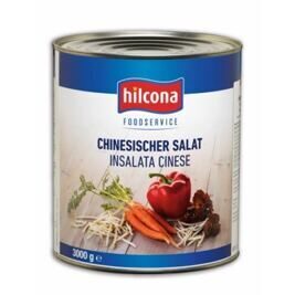 Chinesischer Salat Hilcona