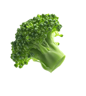 Broccoli